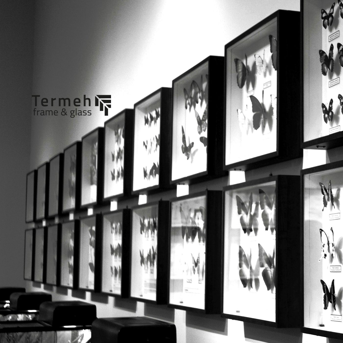 Gallery wall collage